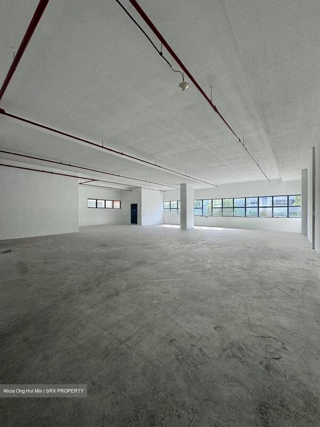 Loyang Industrial Estate (D17), Factory #497047381